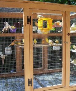 Viva Naturals Organic Ground Flaxseed - Premium Quality Plant-Based Protein and Vegan Omega 3 with Fiber, Perfect for Smoothies, Non-GMO and Gluten Free, 15 oz (425 g) 15 Ounce (Pack of 1) 38 71gz11R9UL