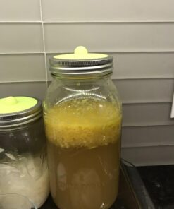 Cultures for Health Water Kefir Grains | DIY Fermented Probiotic Drink Powder for Stronger Gut Health | Heirloom Starter Makes Limitless Supply | Non-GMO Dairy Free Vegan Sparkling Water with Enzymes 0.19 Ounce (Pack of 1) 44 71gzPvIAL4L