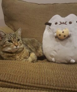 GUND Pusheen Snackable Cookie Plush Stuffed Animal, 9.5" 16 71h0CeGsQVL