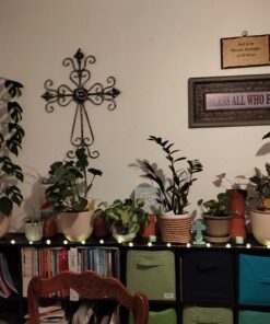 SUMMIT CHEMICAL CO 117-6 30OZ Mosquito Bits 38 71h1hoL YyL