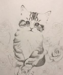 Premium Quality Sketch to Shade Art Supplies 37 Pcs Art Set | Includes Exclusive Drawing Tutorials Ready as Birthday Gifts, Holiday Gifts, Artist Gifts, Celebrations with Art Gifts for a Scetch Lover 37-Piece 41 71h3MNKoSnL