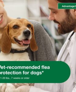Advantage II Medium Dog Vet-Recommended Flea Treatment & Prevention | Dogs 11-20 lbs. | 6-Month Supply 6-Pack 21 71h3X2fHJOL