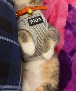 Litter Genie Plus Pail (Black) | Cat Litter Waste Disposal System for Odor Control | Includes 1 Square Refill Bag 54 71h5Gbxs9L