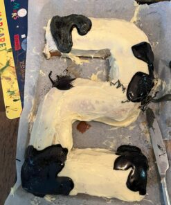 Wilton Letters and Numbers Adjustable Non-Stick Cake Pan Set, 10-Piece Set, Steel Celebrations Set 43 71h5k1WV7tL