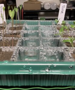 Sow Right Seeds - Milkweed Variety Seed Collection - Includes Butterfly, Common, and Showy Milkweed - Attract Monarchs and Other Butterflies to Your Garden - Non-GMO Heirloom Seeds 20 71h6QKjvZHL
