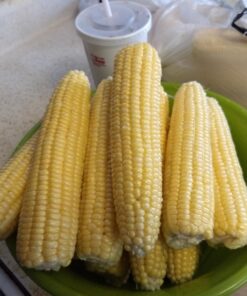 Alternative view of Safer Brand 5163 Caterpillar Killer II Concentrate, 16 Oz For Insects 1 Pack