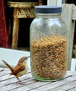 Hatortempt 5lbs Non-GMO Dried Mealworms - Premium Organic Chicken Feed, Nutritious High Protein Meal Worms- Food and Treats for Laying Hens, Wild Birds, Ducks, Reptiles, Fish, Hedgehogs, Turtles 5 Pound (Pack of 1) 43 71h9xrpapuL