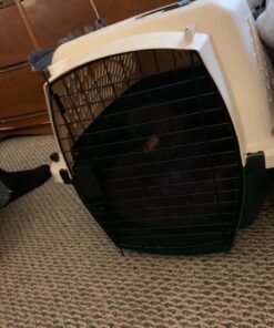 Petmate Ruffmaxx Travel Carrier Outdoor Dog Kennel, 360-degree Ventilation, 26", Green, Made in USA Almond & Green 26.0"L x 18.5"W x 16.0"H 37 71hBnxlK3tL