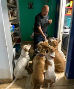 Kingdom Pets Duck Breast Jerky, Premium Treats for Dogs, 40 oz. Bag 34 71hFE8oasHL