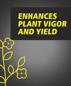 General Hydroponics RapidStart, Plant Food, 1-0.5-1, 125 mL. 25 71hHBn0 OiL