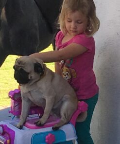 Doc McStuffins Toy Hospital Care Cart Standard Packaging 25 71hHOU32INL