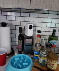 Wyze Cam 1080p Pan/Tilt/Zoom Wi-Fi Indoor Smart Home Camera with Night Vision, 2-Way Audio, Works with Alexa & the Google Assistant, White - WYZECP1 Wyze Cam Pan 62 71hHTRl0qEL