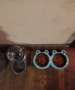 Petmate Replendish Automatic Gravity Waterer for Cats and Dogs, BPA-Free, No Batteries Required, Includes Charcoal Filter, 0.5 Gallon,Silver Silver 0.5 GAL 71 71hIy7yTn0L