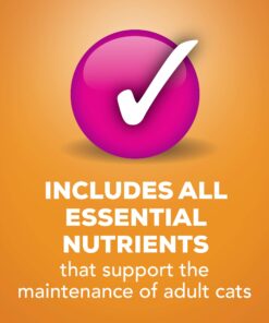 Purina Friskies Pate Wet Cat Food, Liver & Chicken Dinner - 5.5 Oz (Pack of 24) 14 71hMMMOBJDL