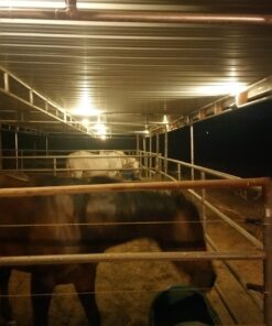 GLW® 10w 12v Ac or Dc Warm White Led Flood Light Waterproof Outdoor Lights 750lm 80w Halogen Bulb Equivalent Black Case 58 71hRigXwOXL