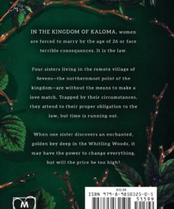 In the Shadow of a Wish: Fareview Fairy Tale, Book 1 (Fareview Fairytales) Paperback 3 71hS9bRjRhL