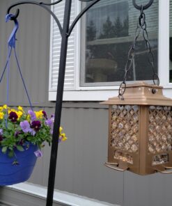 Stokes Select Bird Feeder, Metal Hopper Bird Feeder, 4 Feeding Ports, 3.6 lb Bird Seed Capacity, Copper Finish 43 71hVyetOJrL