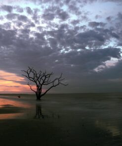 Amazon Basics Circular Polarizer Camera Lens Filter - 72 mm 35 71hW6Norm2L