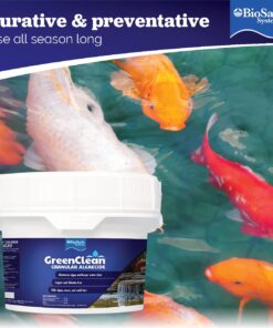 BioSafe Systems GreenClean Granular Algaecide, 20 lbs, String Algae Control for Koi Ponds, Fountains, Waterfalls, Water Features on Contact, EPA Registered 11 71hWGBqNdhL