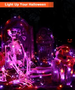 Brizled Purple Orange Halloween Fairy Lights, 19.47ft 60 LED Halloween Lights, 2 Mode Battery Purple Orange Lights, Indoor Silver Wire Halloween Twinkle Light for Halloween Themed Party Carnival Decor Purple & Orange 14 71hWGMSIYL