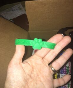 Fun Express Paw Print Rubber Bracelet - 24 Pieces - Educational And Learning Activities For Kids 25 71hXqYBR9dL