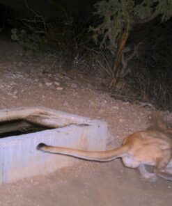 SanDisk Ultra 32GB Class 10 SDHC UHS-I Memory Card up to 80MB/s (SDSDUNC-032G-GN6IN) 27 71hY6ou89L