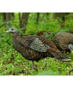 AVIAN-X LCD Breeder Hen Turkey Decoy | Durable Realistic Lifelike Collapsible Standing Hunting Decoy with Carry Bag & Stake, AVX8008 21 71hZ YMLInL