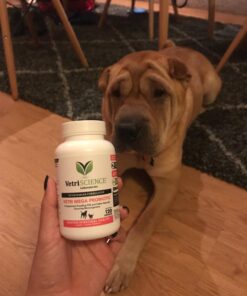 VETRISCIENCE Laboratories Vetri Mega Probiotic and Prebiotic for Dogs and Cats, 120 Capsules - Digestive Relief - Easy to Give Capsules - GI Support 34 71hZvi4SP L