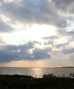 Sigma 150-600mm f/5-6.3 DG OS HSM Contemporary Lens for Canon EF Bundle Includes Manufacturer Accessories + 72 inch Monopod with Quick Release + UV Filter + Lens Pen + Microfiber Cleaning Cloth 31 71hcJBaDsHL