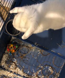 Ware Manufacturing Willow Branch Ball for Small Animals - 4-inch 1-Pack 17 71hdJ5jMQL