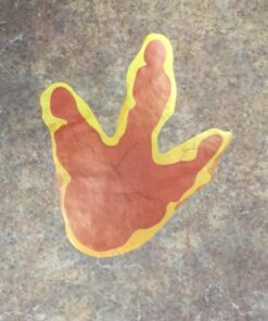 Dinosaur Footprint Floor Decals, Set of 12 - Birthday Party and Classroom Decor 9 71hdR3drlvL