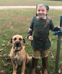 Link Prestige Legend of Zelda Nintendo Costume, Medium/7-8 M (7-8) 29 71hdcIoLztL