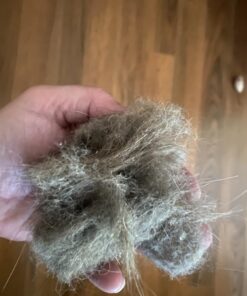 Chom Chom Roller Pet Hair Remover and Reusable Lint Roller - Black ChomChom Cat and Dog Hair Remover for Furniture, Couch, Carpet, Clothing and Bedding - Portable, Multi-Surface Fur Removal Tool 35 71hfoTsti5L