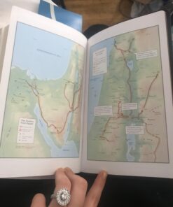 KJV Holy Bible, Giant Print Standard Size Faux Leather Red Letter Edition - Thumb Index & Ribbon Marker, King James Version, Dark Brown Imitation Leather 80 71hfsdDPn3L