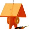 Songbird Essentials SERUBFJF Fruit and Jelly Oriole Feeder (Set of 1) 37 71hi8JHplCL