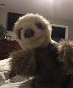 Folkmanis Baby Sloth Hand Puppet Classic 23 71hk6odihcL