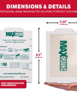 Pest Glue Trap by Catchmaster - 36 Boards Pre-Baited, Ready to Use Indoors. Rodent Mouse Rat Insect Sticky Adhesive Simple Easy Simple Non-Toxic - Made in the USA 36 Pack Scented 23 71hkAnMe7kL