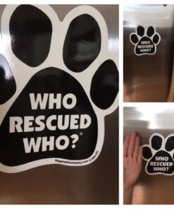 Car Magnet-Paw-Who Rescued Who- 5.5" x 5.5" 8 71hkr1NLR6L