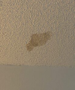 Zinnser 03688 Covers Up Stain Sealing Ceiling Paint, White 13 Ounce (Pack of 1) Spray Can 51 71hqSD tgXL