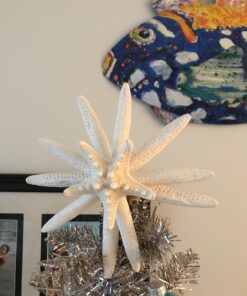 U.S. Shell, Inc. Starfish Mix 31 71htB37idLL