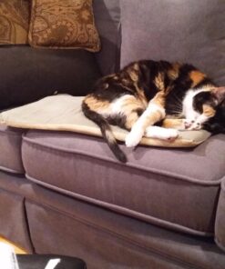 K&H Pet Products Heated Thermo-Kitty Mat, Indoor Heated Cat Bed, Pet Heat Pad for Indoor Cats and Small Dogs, Cat Heating Pad, Electric Thermal Warming Cat Bed Mat, Sage/Tan 12.5 X 25 Inches Pet Bed 41 71huH1OV6L