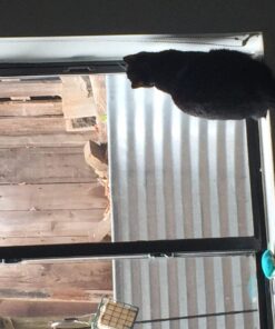 Tranquil Outdoors Large Acrylic Window Bird Feeder: Strong Removable Suction Cup Mounted Outdoor Bird House Feeder, Clear Birdfeeders for Large & Small Birds. Best See Thru Feeder for Bird Watching 56 71hwQFKDdNL