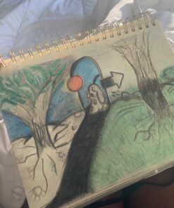 Prismacolor Col-Erase Erasable Colored Pencils, 24 Pack 24 Count (Pack of 1) 42 71i2lToEJ7L