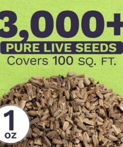 Purple Coneflower Seeds – Extra Large Packet – Over 3,000 Open Pollinated Non-GMO Wildflower Seeds – Echinacea purpurea 1 Ounce Pouch 18 71i2nOoxpzL