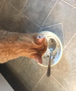 The Honest Kitchen Human Grade Dehydrated Grain Free Dog Food – Complete Meal or Dog Food Topper – Chicken 10 lb (makes 40 lbs) 10 Pound (Pack of 1) 41 71i3Sp3dnYL