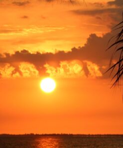 Sigma 150-600mm f/5-6.3 DG OS HSM Contemporary Lens for Canon EF Bundle Includes Manufacturer Accessories + 72 inch Monopod with Quick Release + UV Filter + Lens Pen + Microfiber Cleaning Cloth 32 71i4Pzc3EtL