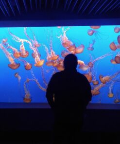 Canon Photo Paper Glossy 4 x 6 Inches, PP-301, 100 Sheets 4'x6' (100 Sheets) 16 71i5IVRMgpL