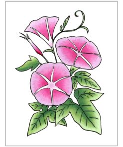 Copic Sketch, Alcohol-based Markers, 3pc Set, Color Fusion #2 Pink 9 71i68w8UH9L