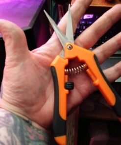 VIVOSUN Gardening Hand Pruner Pruning Shear with Straight Stailess Steel Blades (2Pack Orange) 16 71i79QPmwL