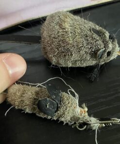 Go Cat Refill - Cat Catcher Mouse Toy Accessory Single 1 Mouse 16 71i7GaE4VGL